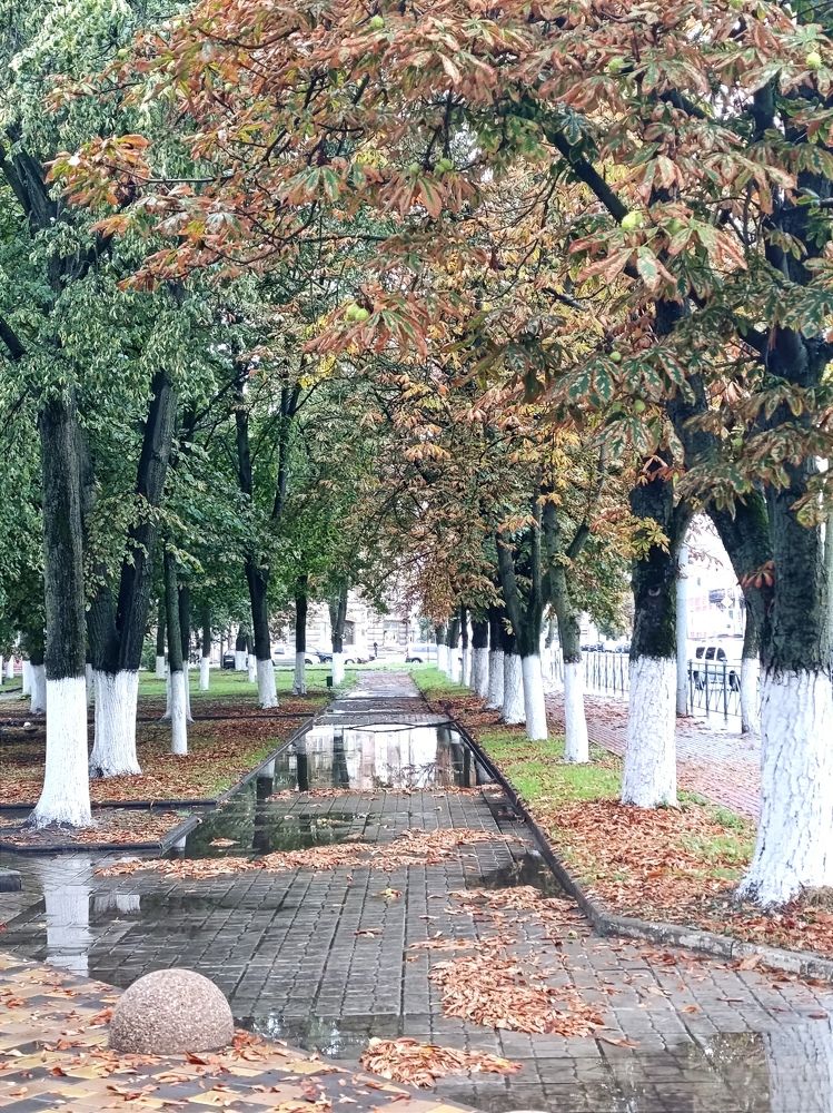 Фотография автора Кира Полотовская