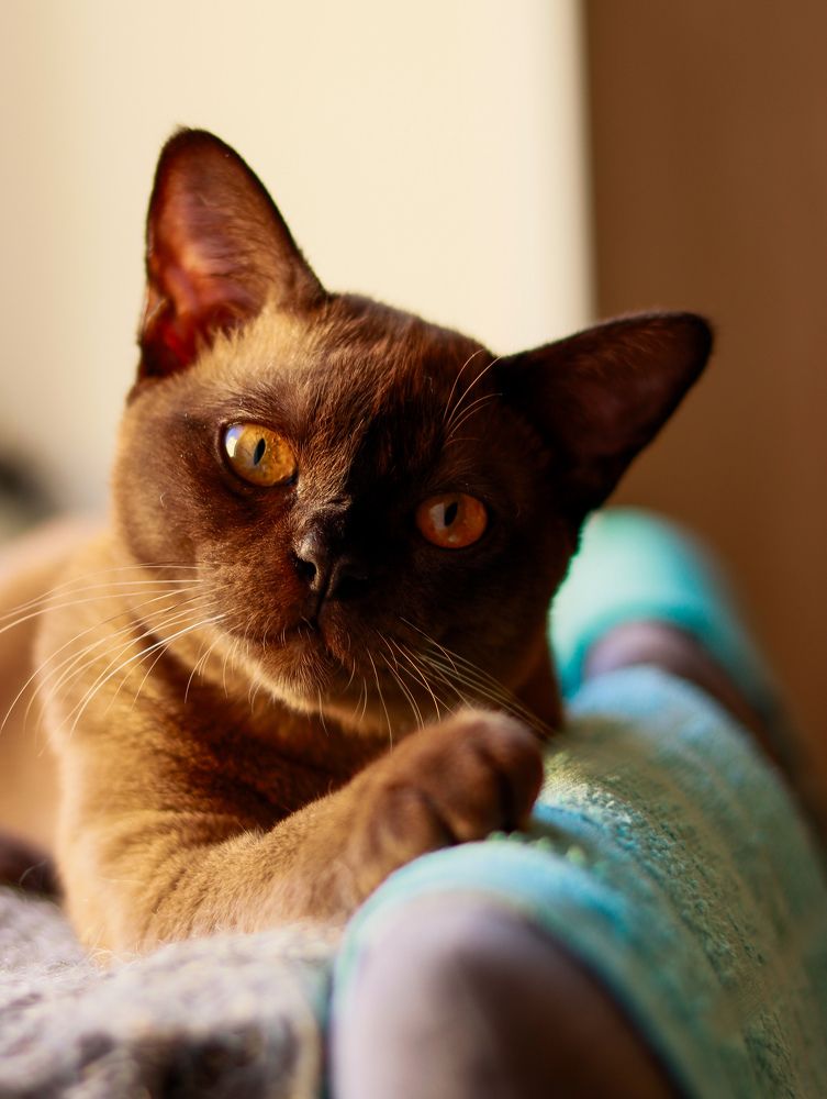 Photograph by Irina Sorokoletova