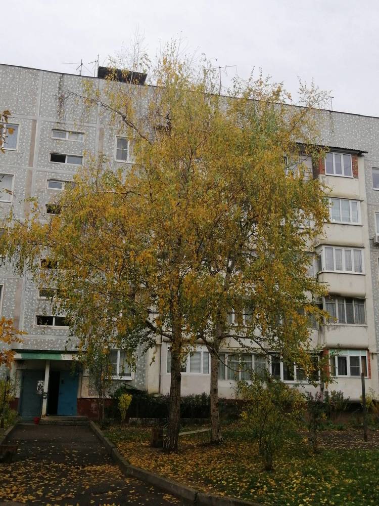 Photograph by Мила Мит