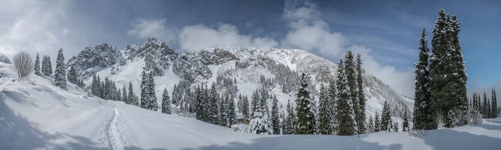 Photograph by Владимир Пронин