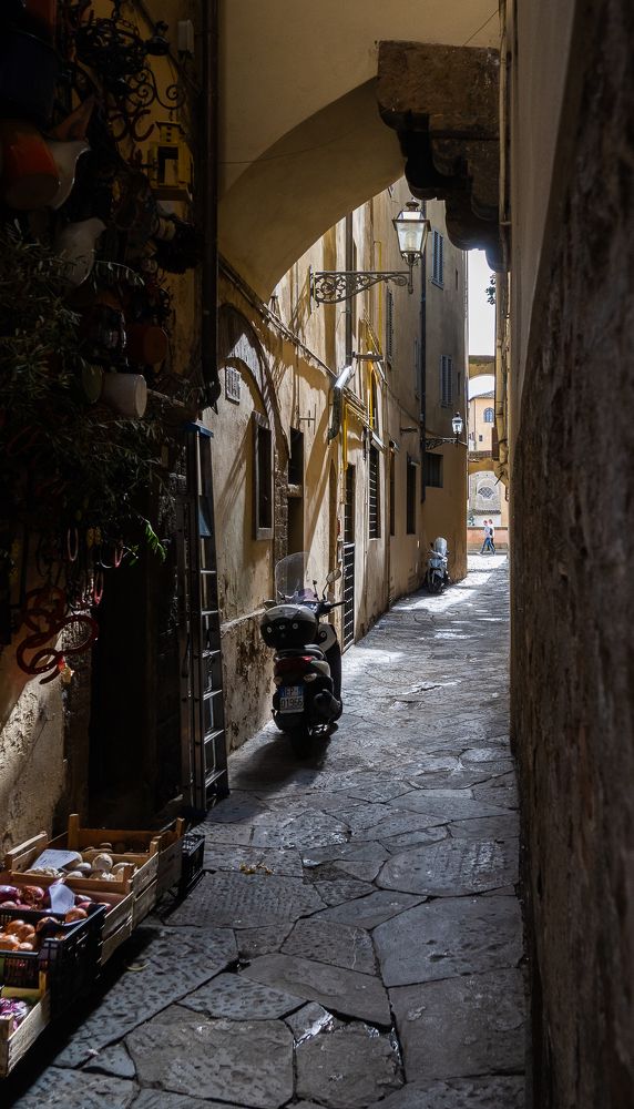 Фотография автора Андрей Симонов