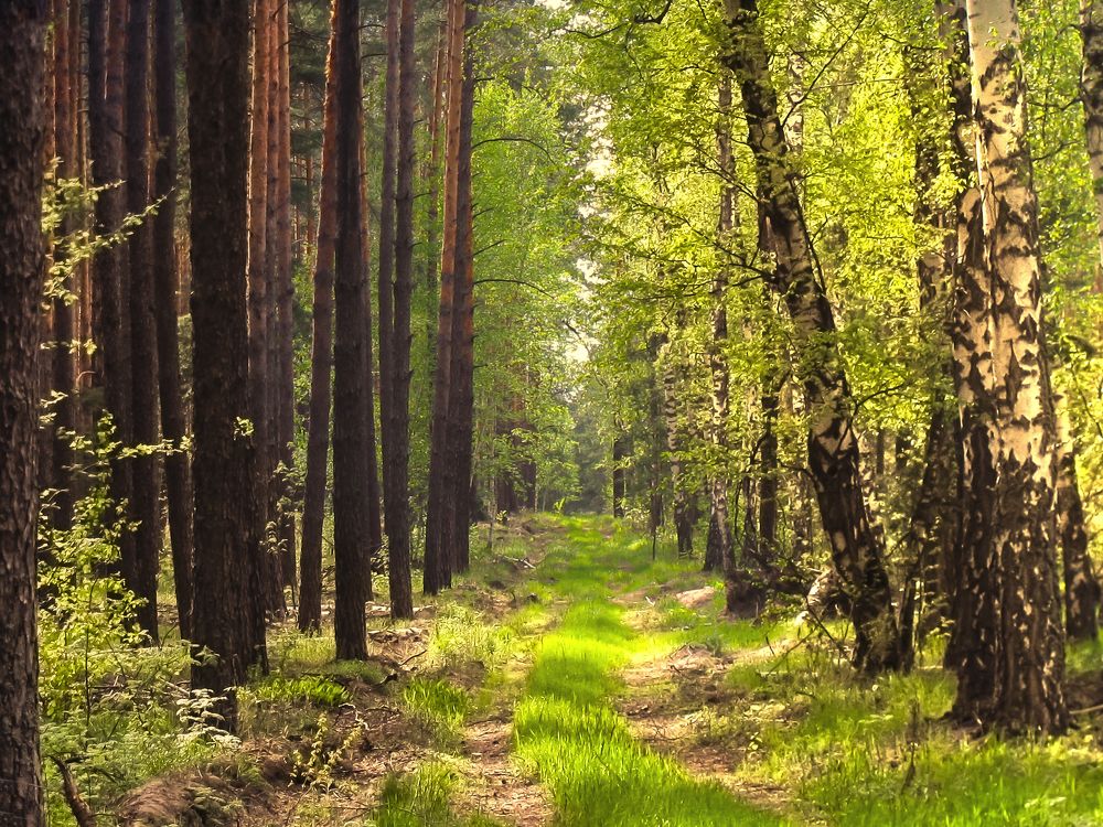 Photograph by Виктор Карпухин