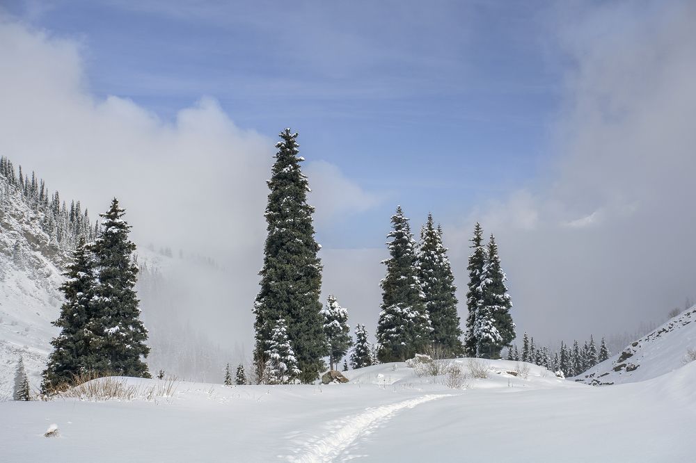 Фотография автора Владимир Пронин
