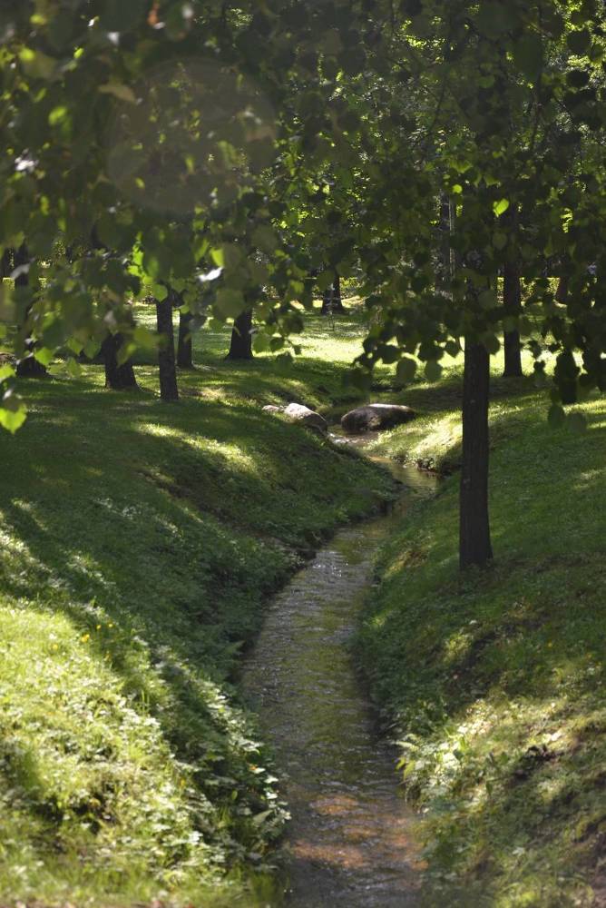 Photograph by Настя