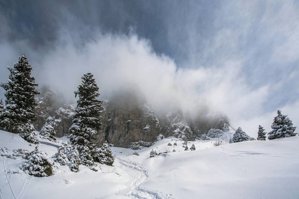 Photograph by Владимир Пронин