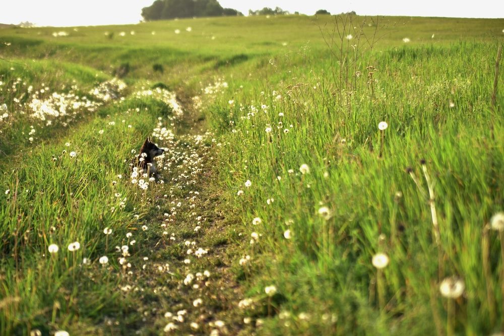 Photograph by Наталья Сорокина