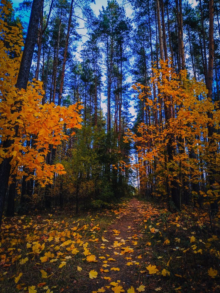 Photograph by Олеся Бронзова