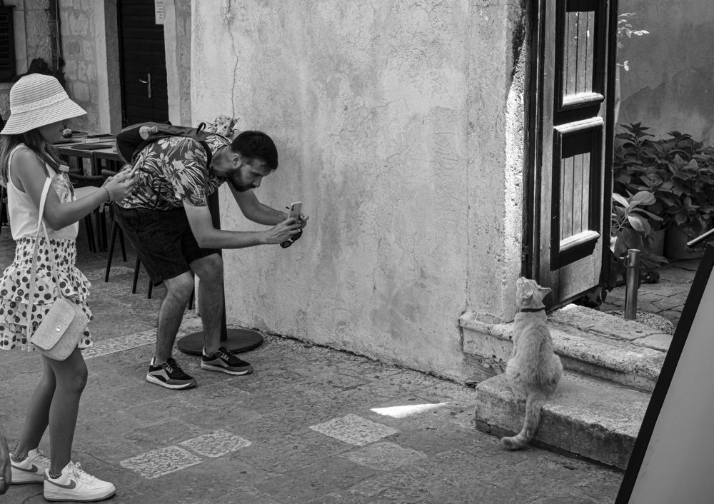 Фотография автора Берлиоз Бегемот