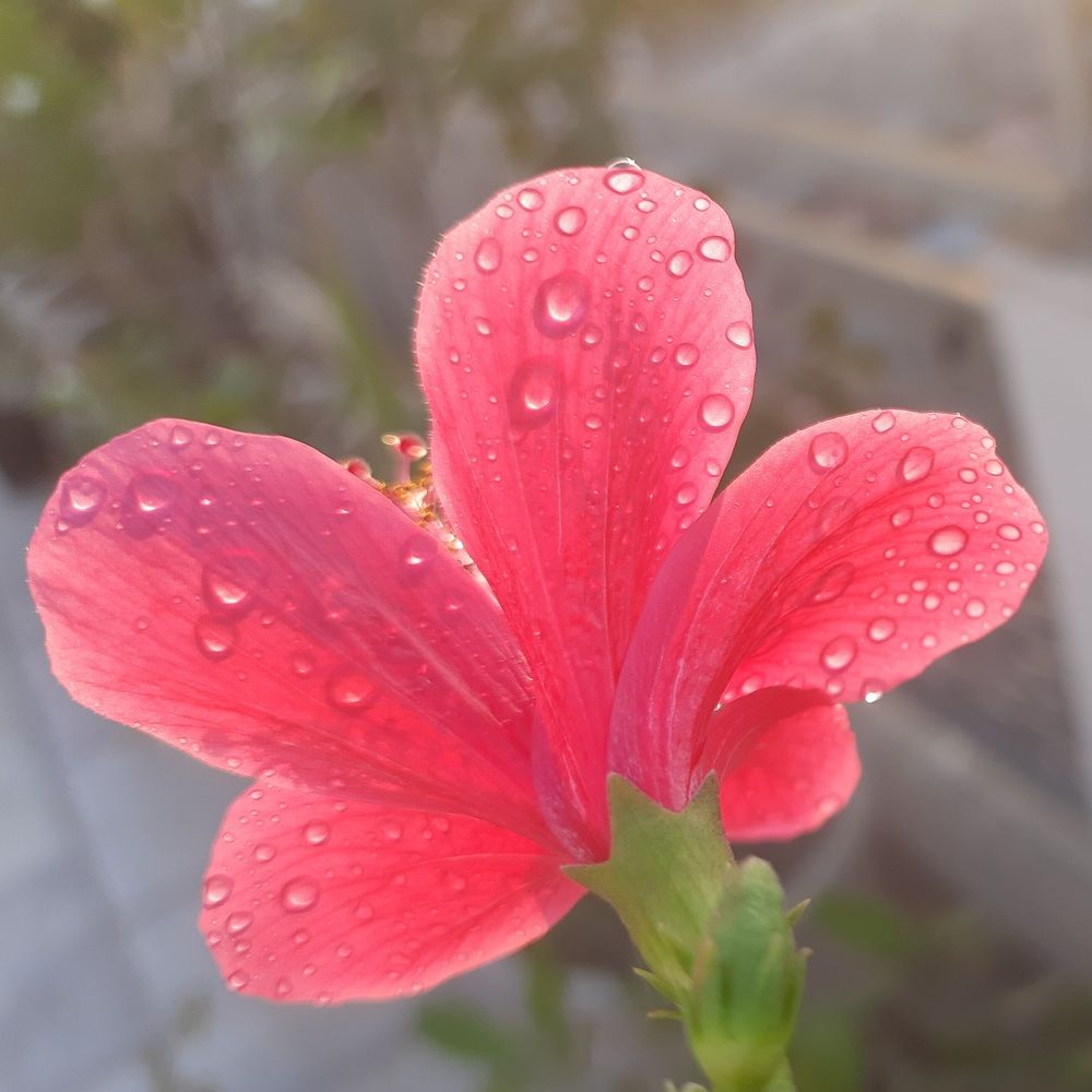 Photograph by Khushi Vashisth