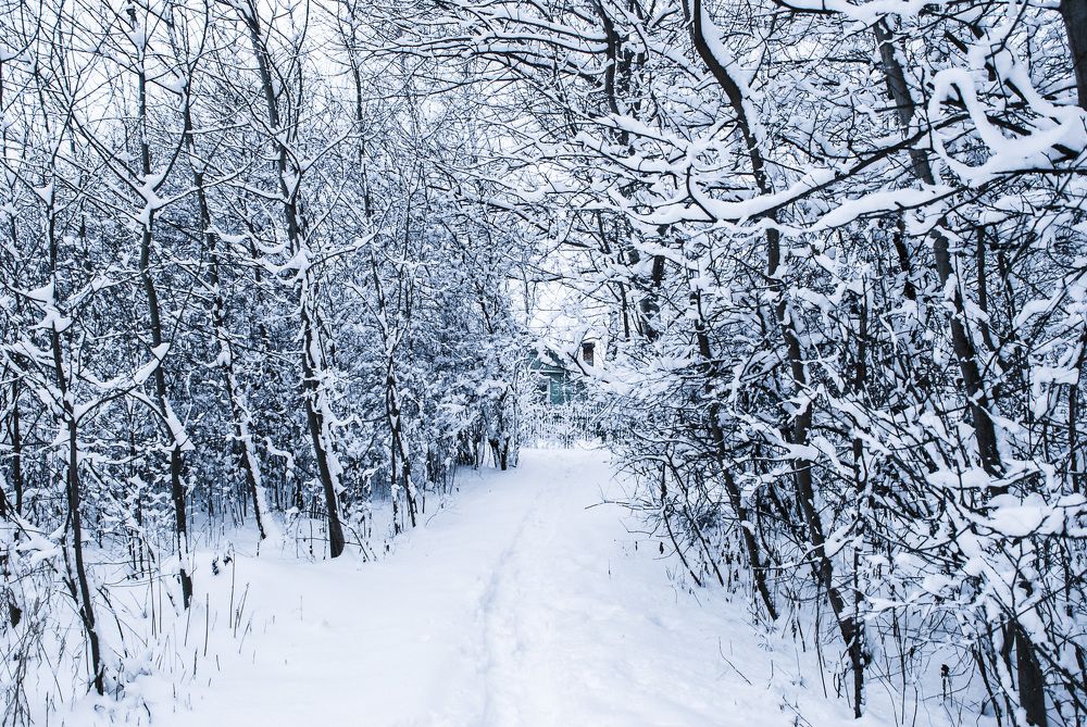 Photograph by Милена Полтавец