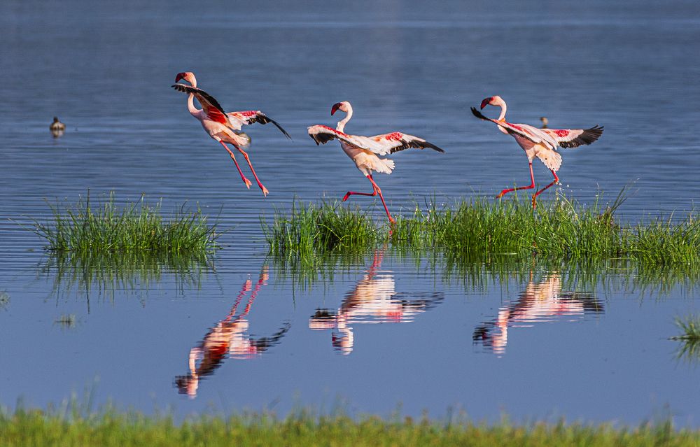 Фотография автора Paolo Barbarini