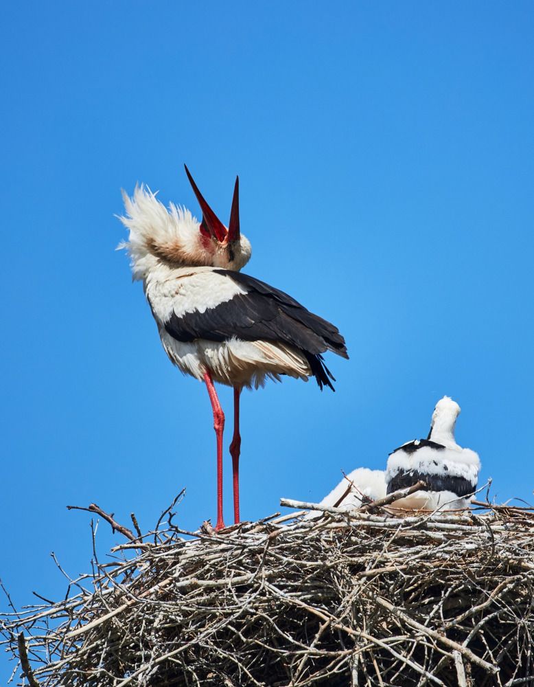 Photograph by Ольга Левакова