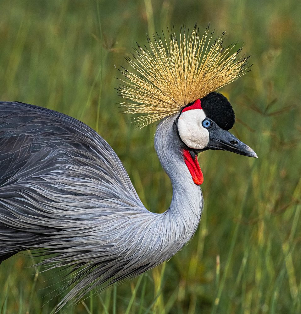 Фотография автора Paolo Barbarini