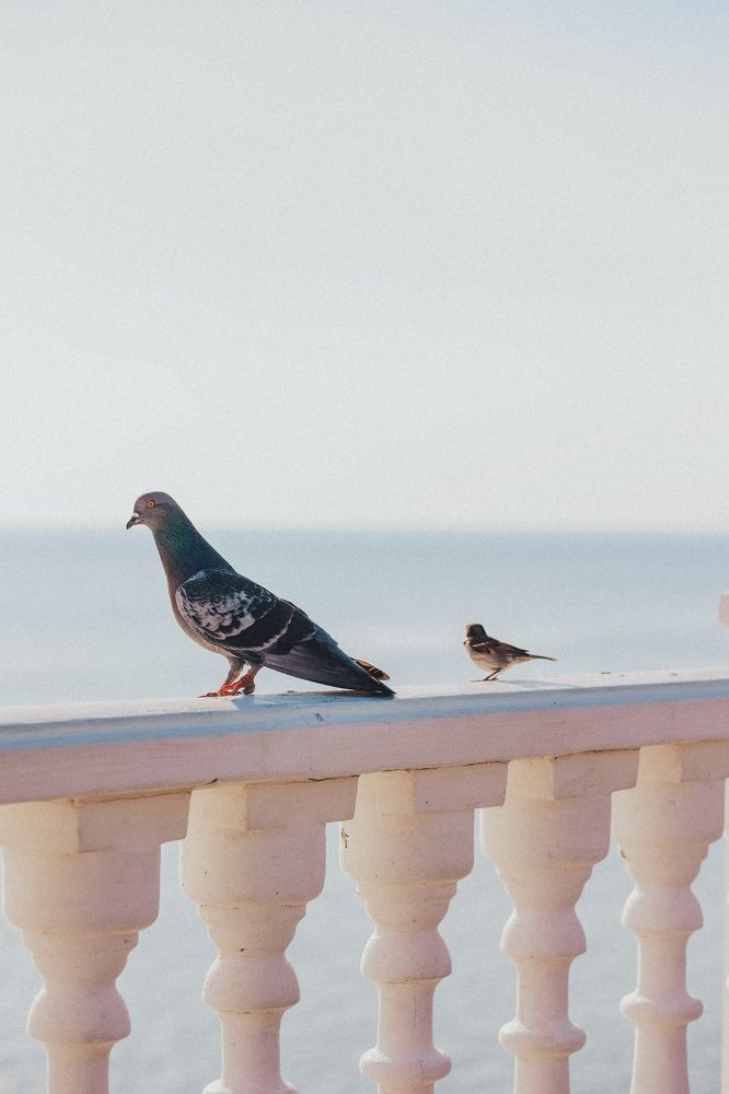 Фотография автора Руслан Зиновьев