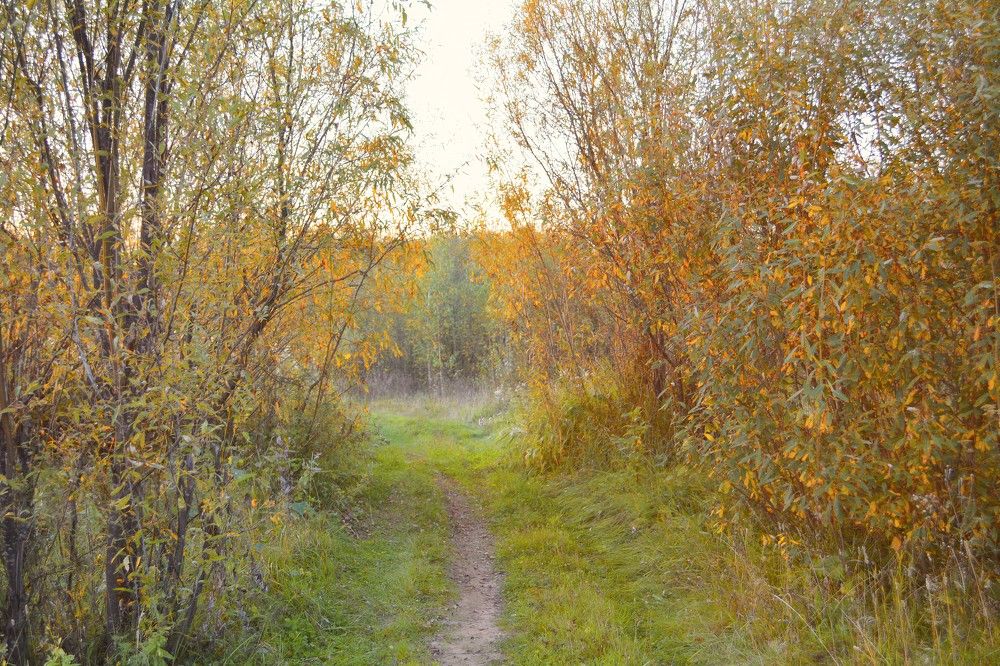 Photograph by София Бояринцева