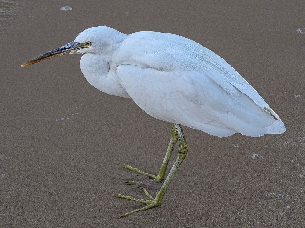 Photograph by Борис Полтавец