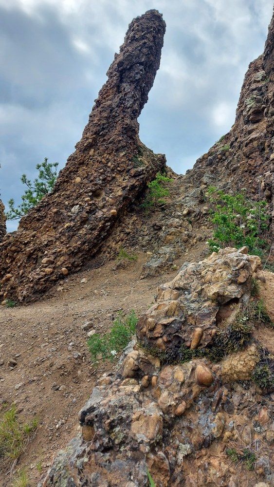 Фотография автора Матусевич Марина