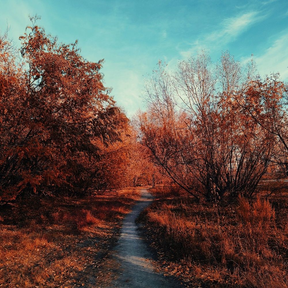 Photograph by Ильин Максим