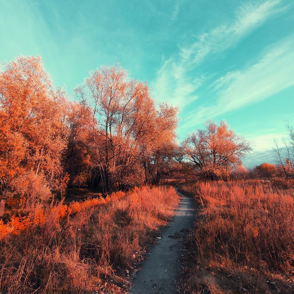 Photograph by Ильин Максим