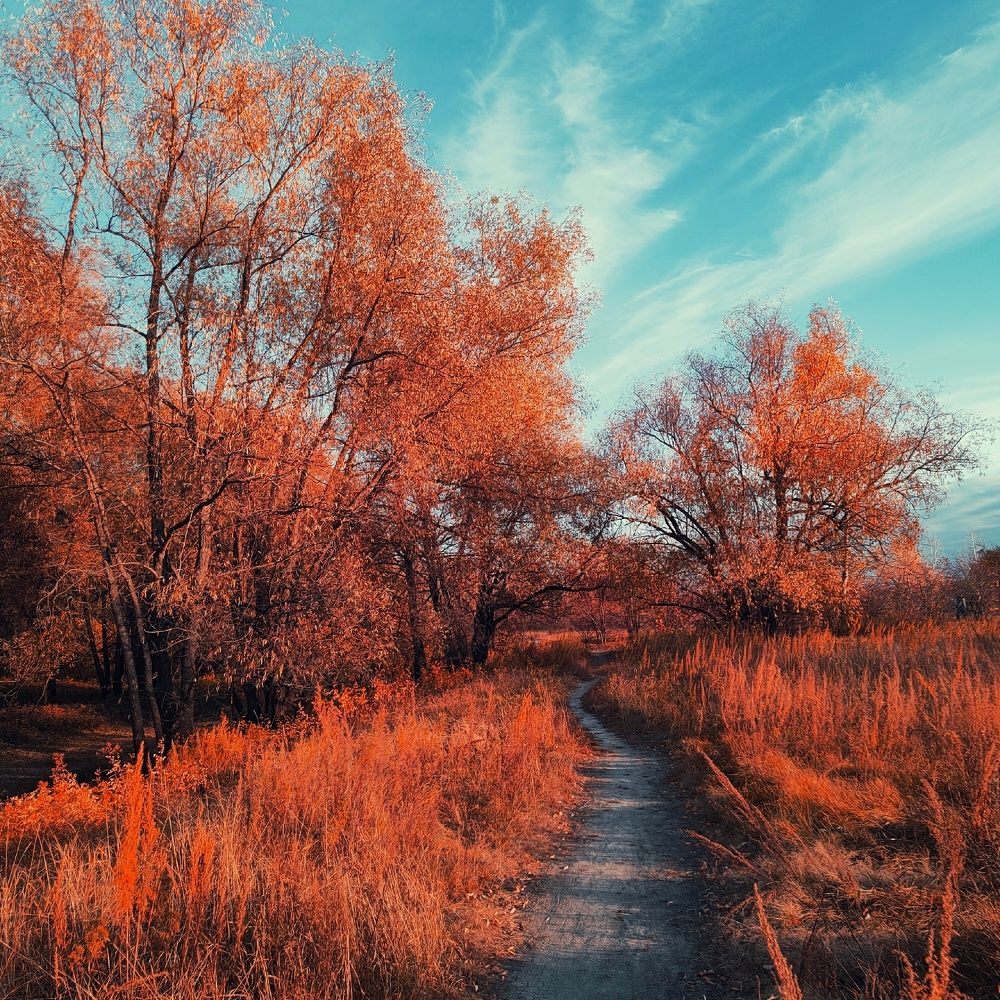 Photograph by Ильин Максим