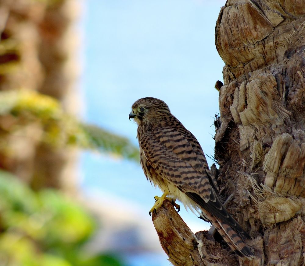 В ожидании.
