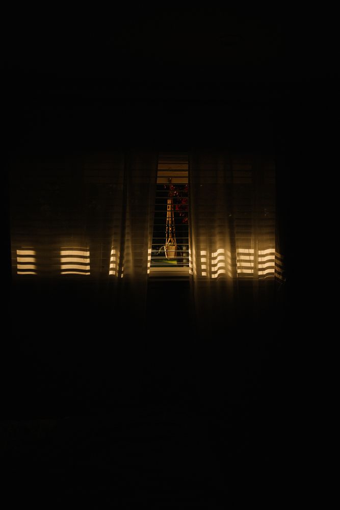 Photograph by Anna Vlasova