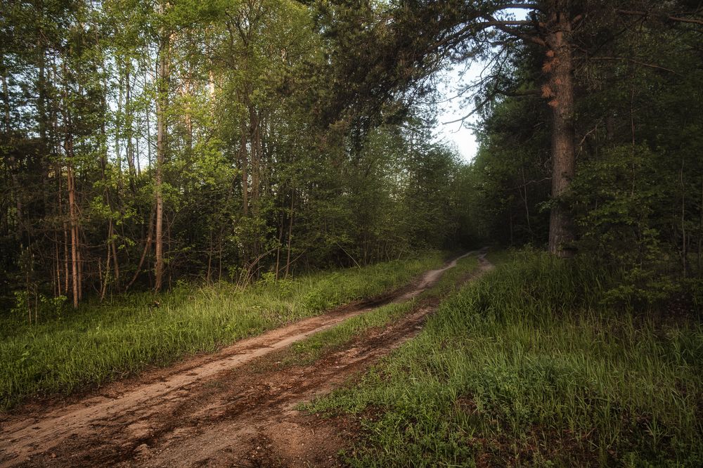 Photograph by Евгений Кузнецов