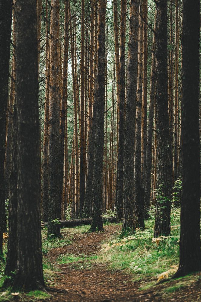 Photograph by Иван Кривоносов