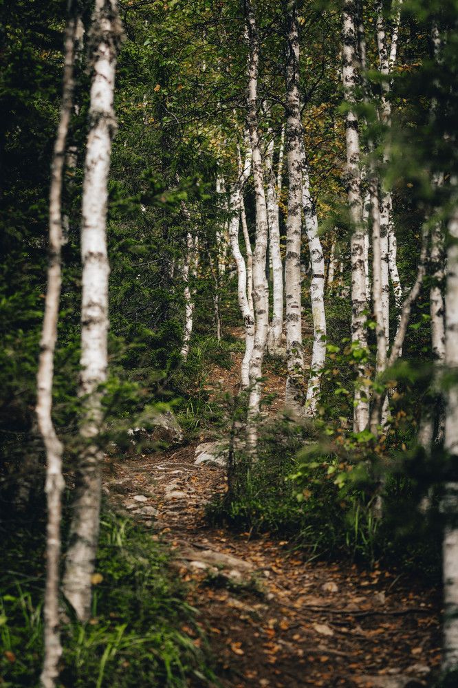 Photograph by Иван Кривоносов