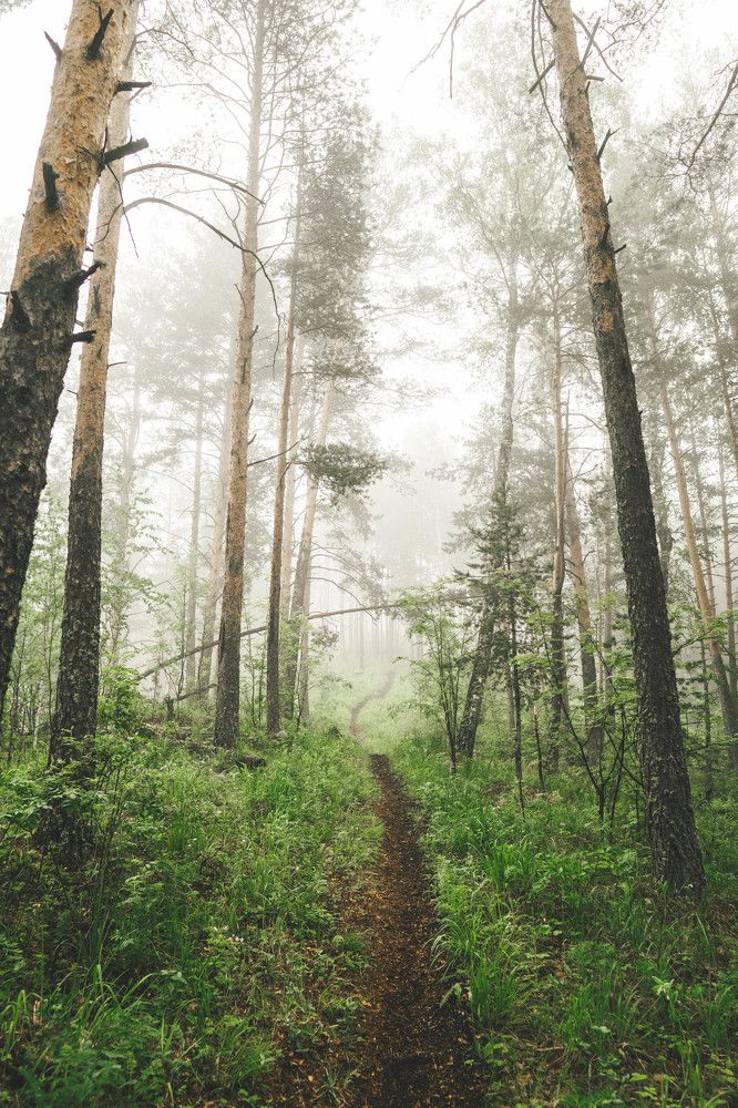 Photograph by Иван Кривоносов