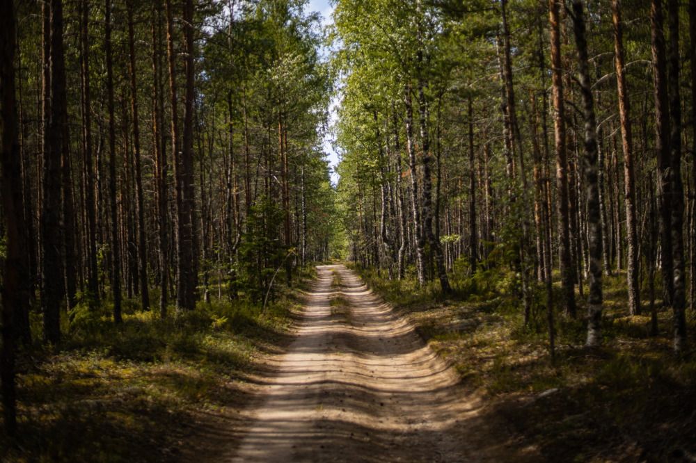 Photograph by Ольга Левакова