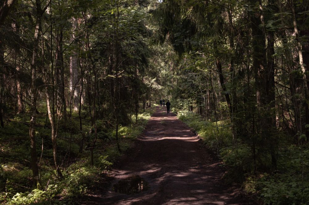 Photograph by Ольга Левакова