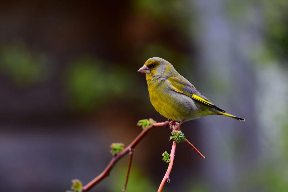 Photograph by Николай Абакумов