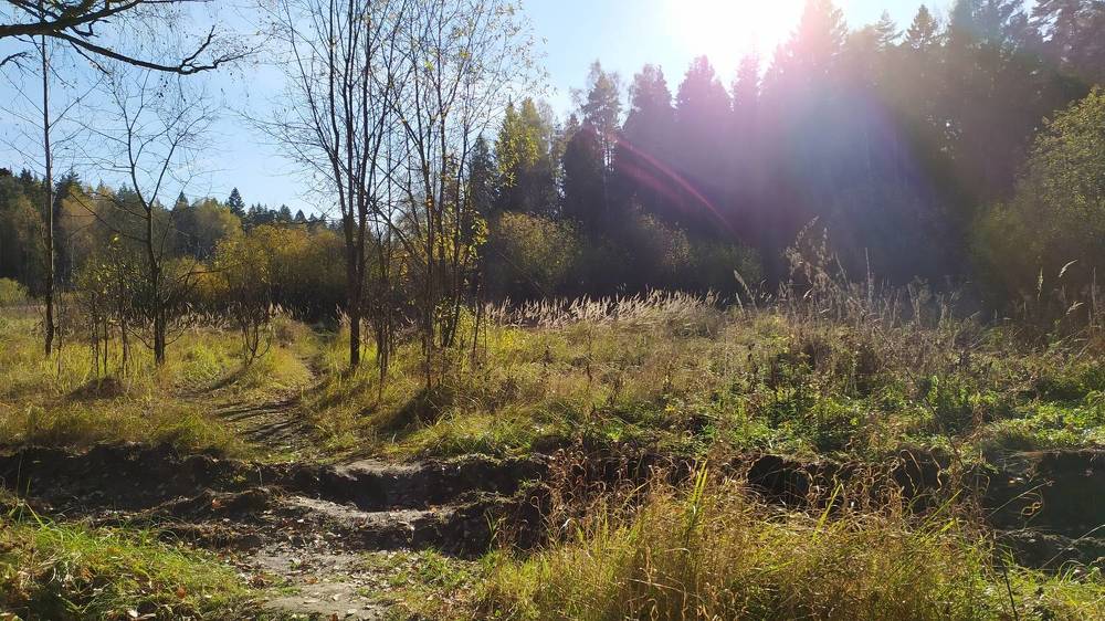 Photograph by Елена Смирнова