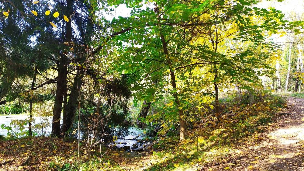 Photograph by Елена Смирнова