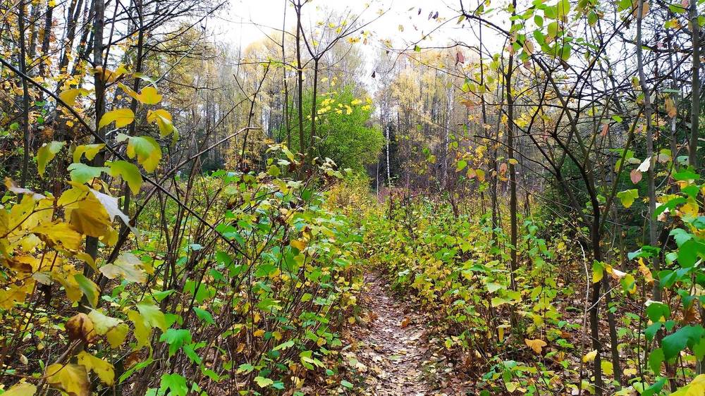 Photograph by Елена Смирнова