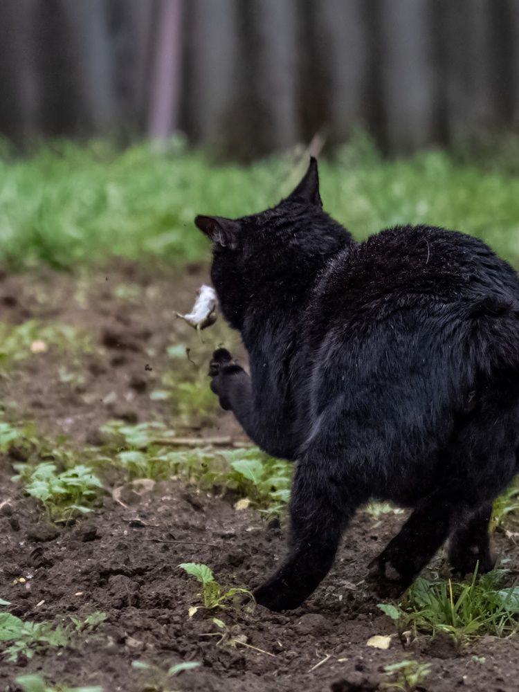 Photograph by Сергей Хабаров