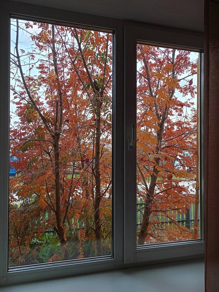 Photograph by Елена Чернякова