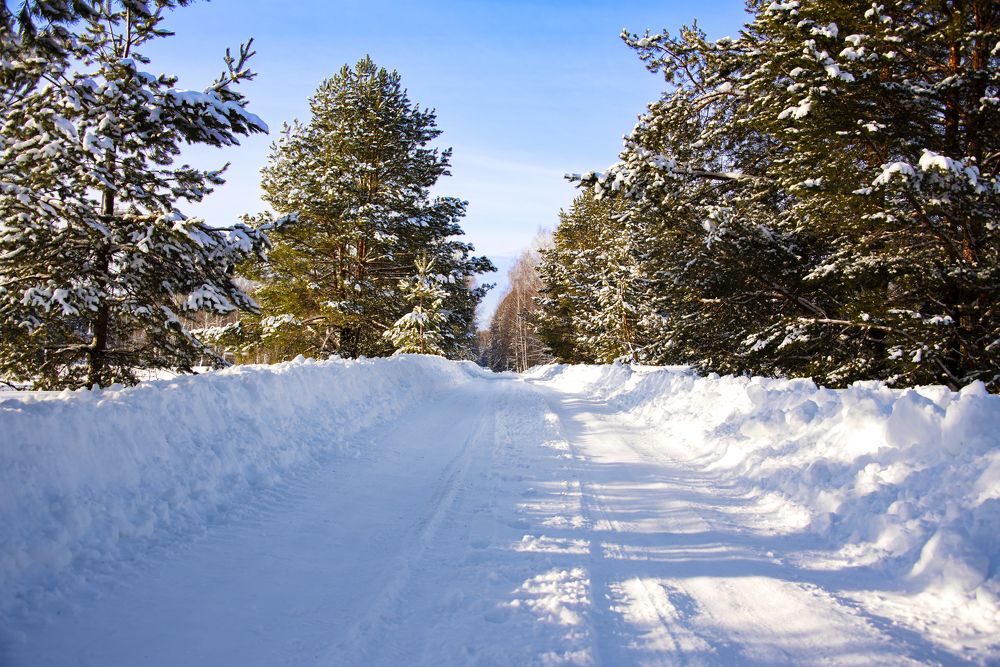 Фотография автора Шарова Наталия