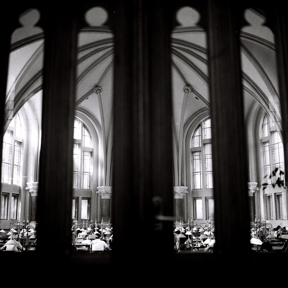 Фотография автора Erik Rozman