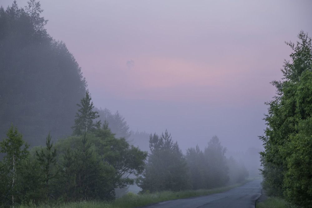 Photograph by Елена Перминова