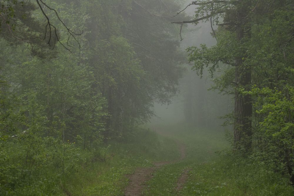 Photograph by Елена Перминова