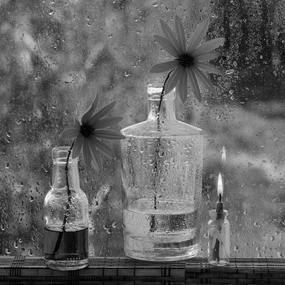 Без названия