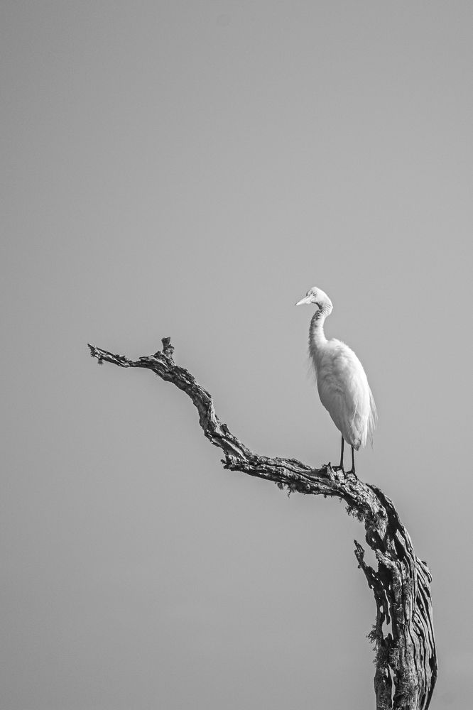 Photograph by Chathura Malinga