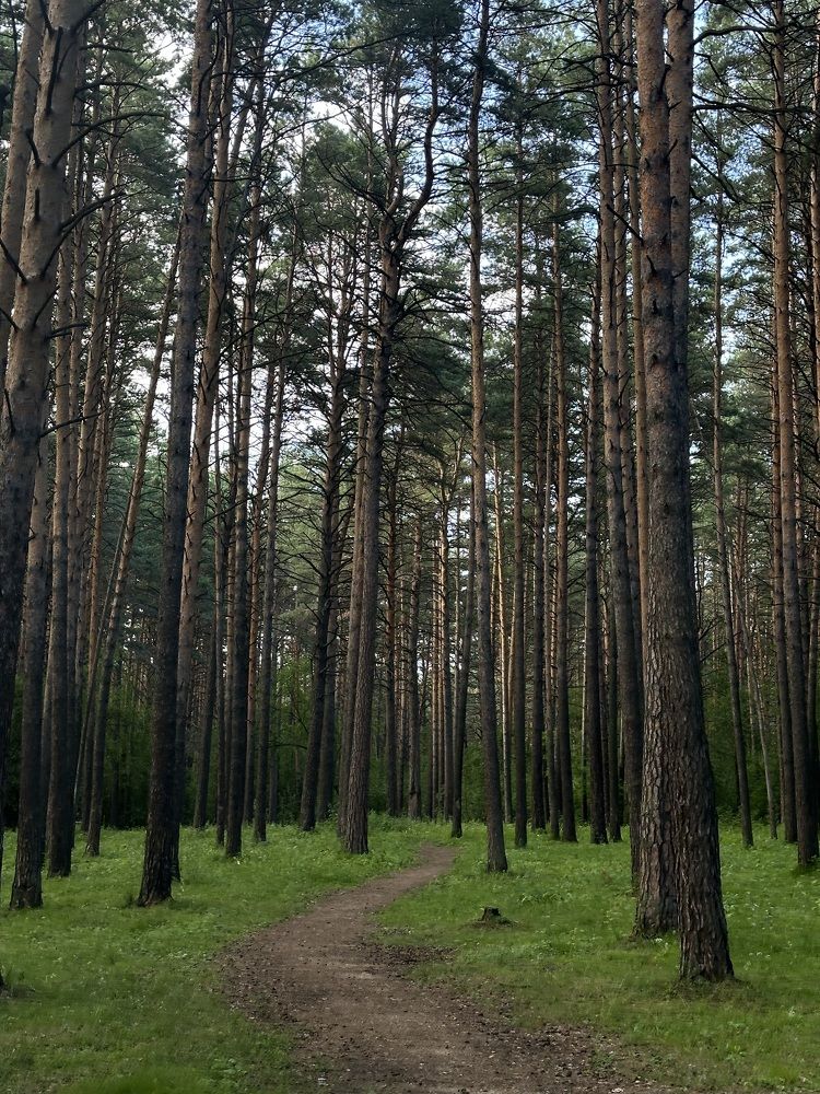 Photograph by Мария