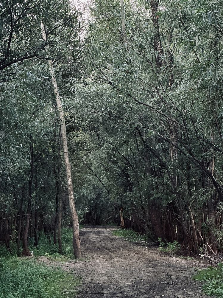 Photograph by Мария