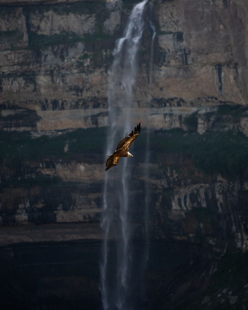 Photograph by Мария Раздорова