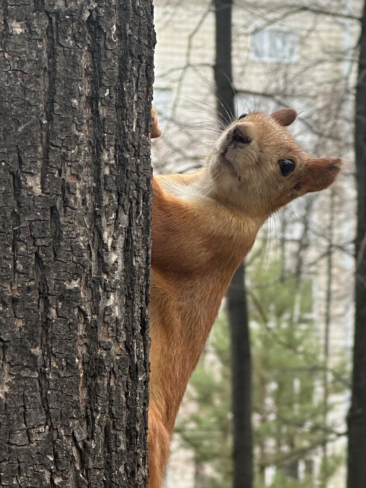 Photograph by Мария