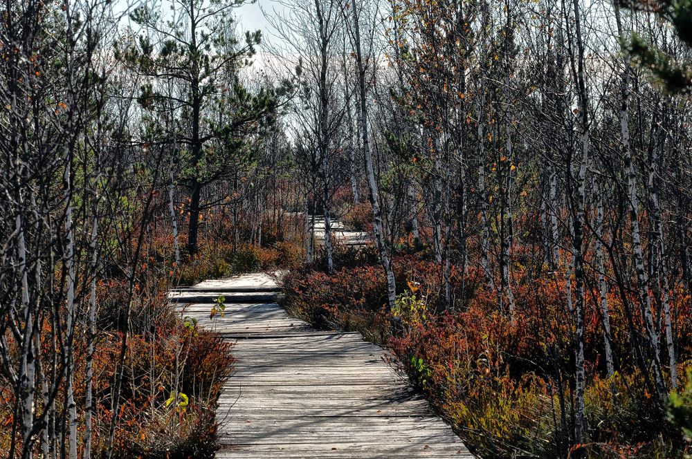 Фотография автора Виктор Журбенков