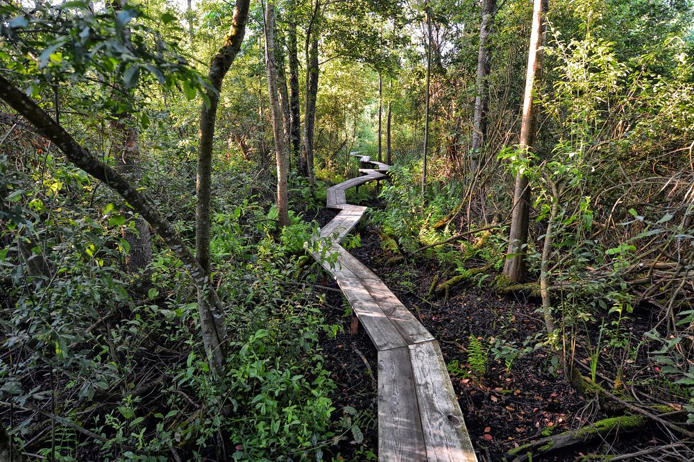 Photograph by Виктор Журбенков